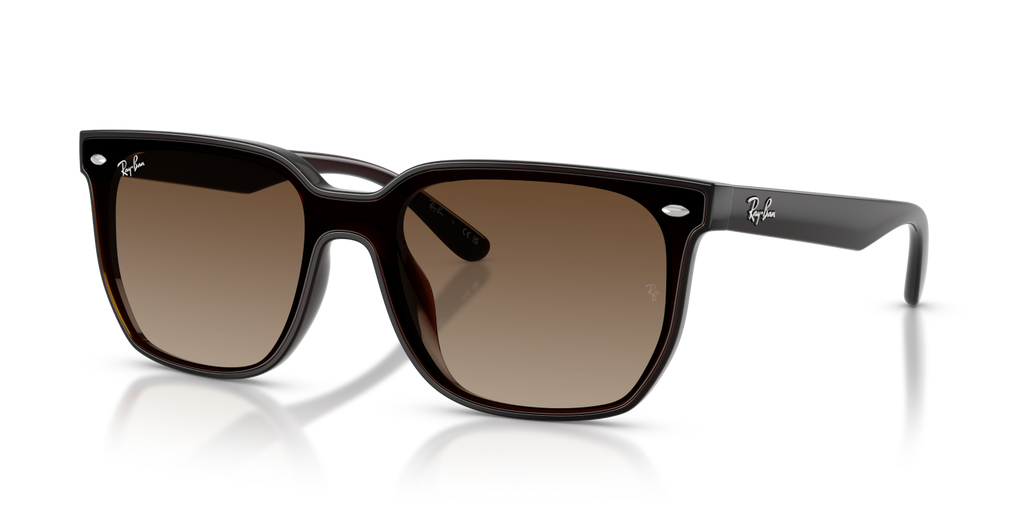 Ray-Ban RB4466D - Transparent Dark Brown / Brown