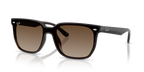 Ray-Ban RB4466D - Transparent Dark Brown / Brown
