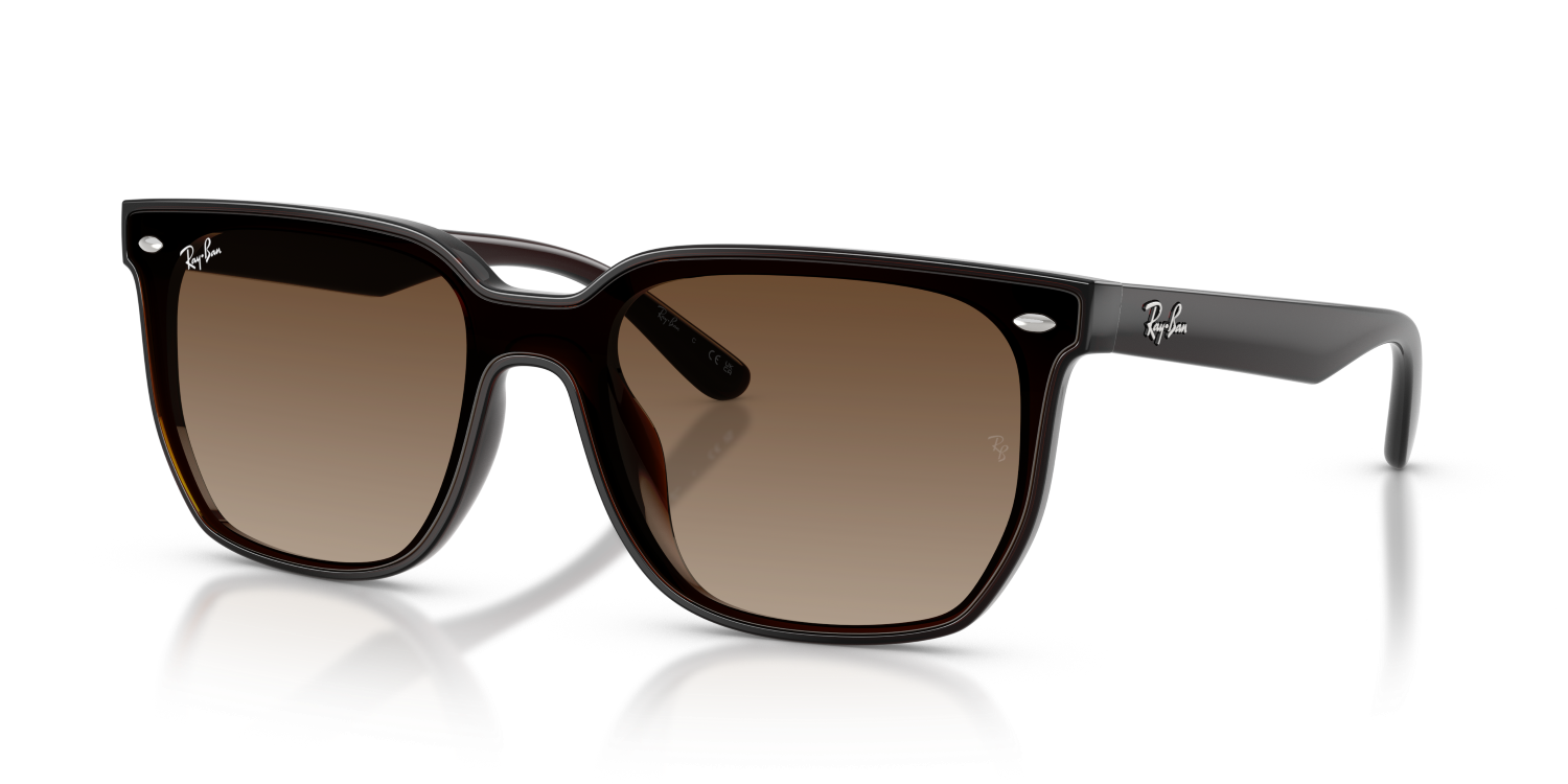 Ray-Ban RB4466D - Transparent Dark Brown / Brown