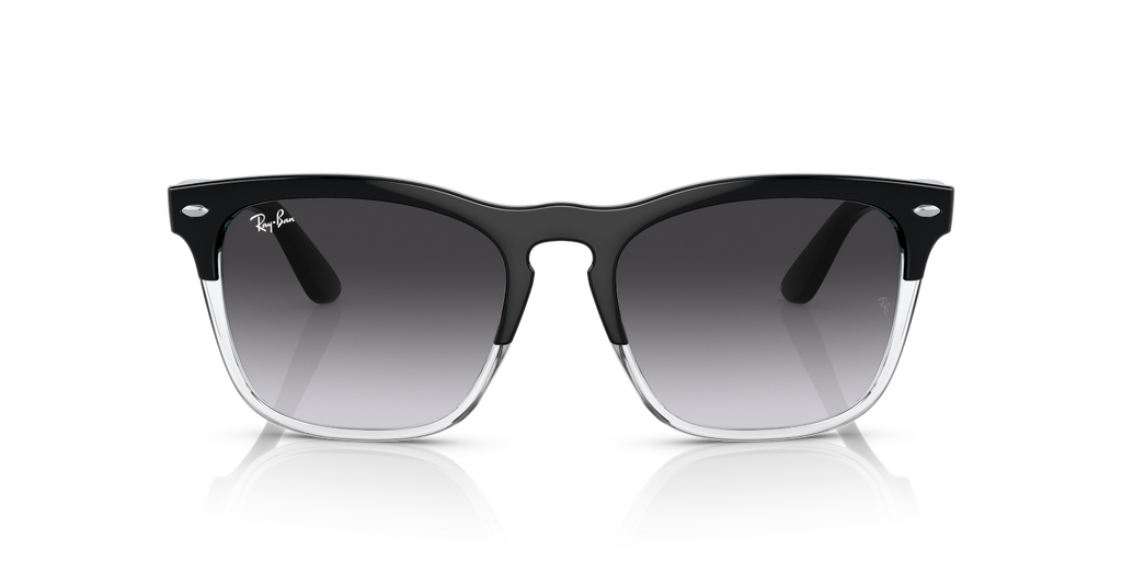 Ray-Ban STEVE RB4487 - Black On Transparent / Black