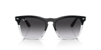 Ray-Ban STEVE RB4487 - Black On Transparent / Black