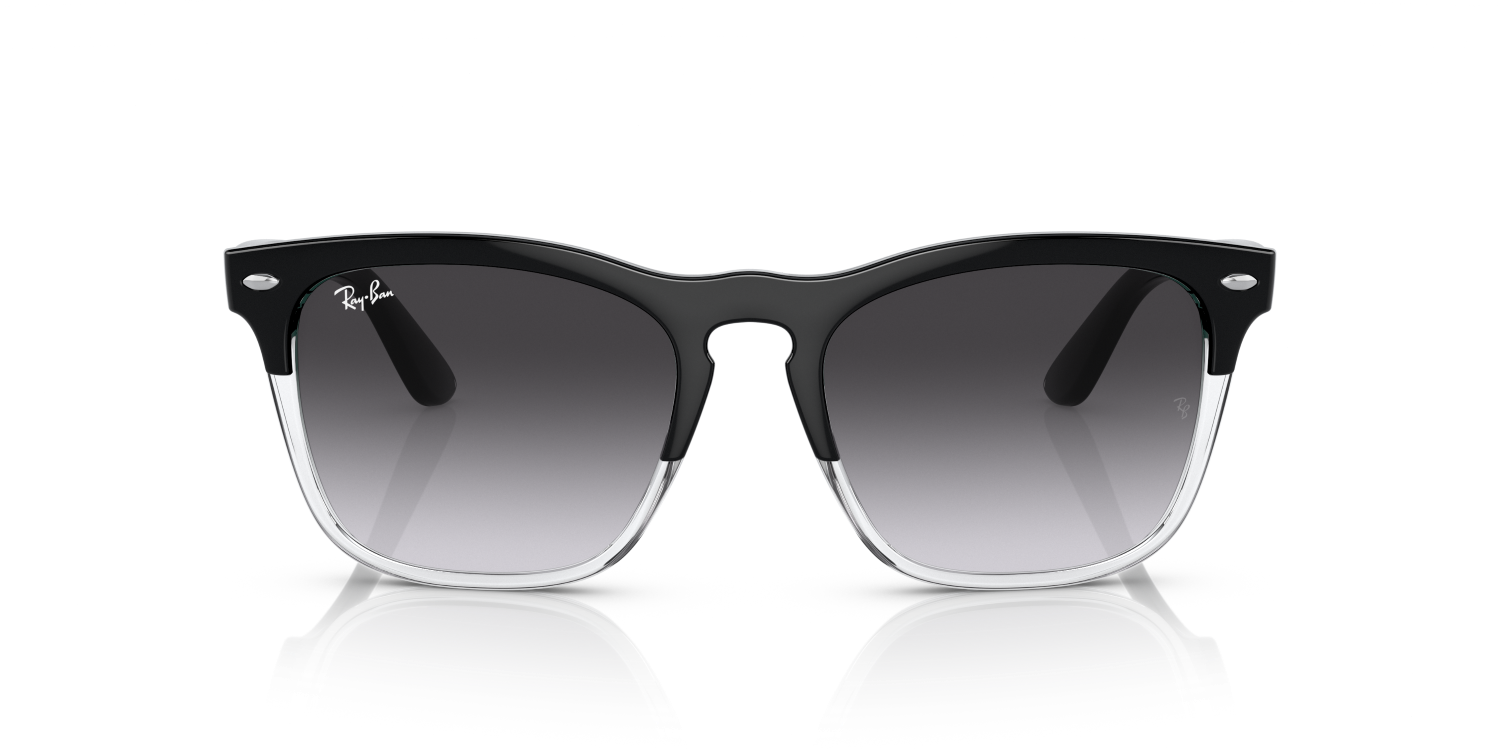 Ray-Ban STEVE RB4487 - Black On Transparent / Black