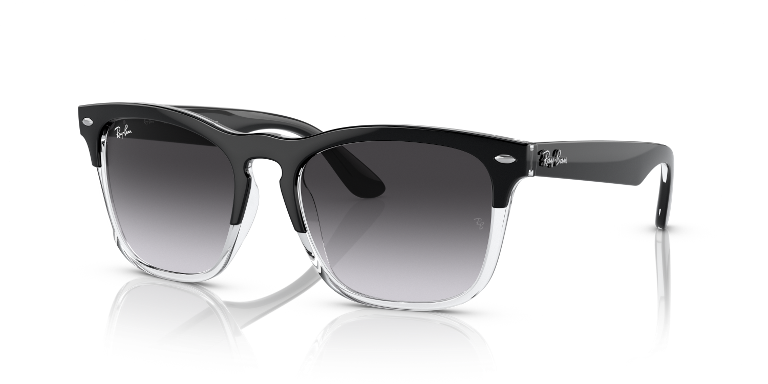 Ray-Ban STEVE RB4487 - Black On Transparent / Black