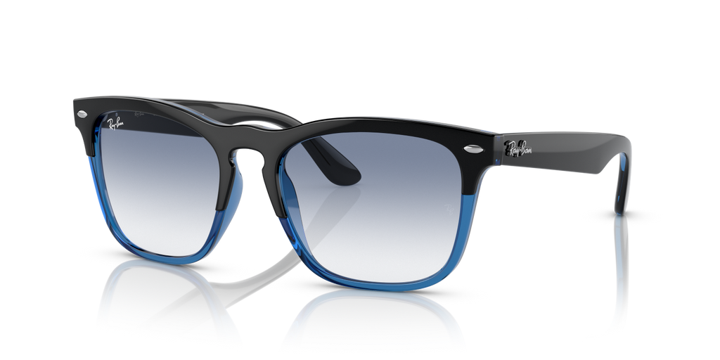 Ray-Ban STEVE RB4487 - Black On Blue / Black