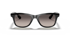 Ray-Ban RB4640 - Black / Black