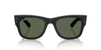 Ray-Ban RB4840S - Sand Black / Black