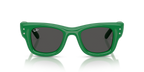 Ray-Ban WAYFARER PUFFER RB4940B - Green & Strass / Green