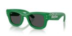 Ray-Ban WAYFARER PUFFER RB4940B - Green & Strass / Green