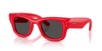 Ray-Ban WAYFARER PUFFER RB4940 - Red / Red