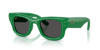 Ray-Ban WAYFARER PUFFER RB4940 - Green / Green