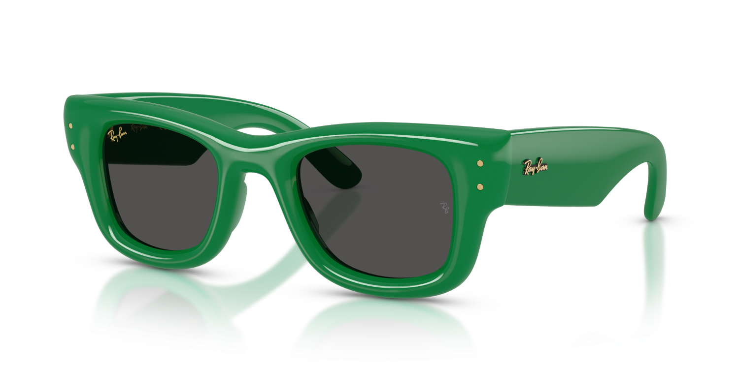 Ray-Ban WAYFARER PUFFER RB4940 - Green / Green