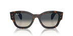 Ray-Ban JORGE RB7681S - Havana Grey On Blue / Blue