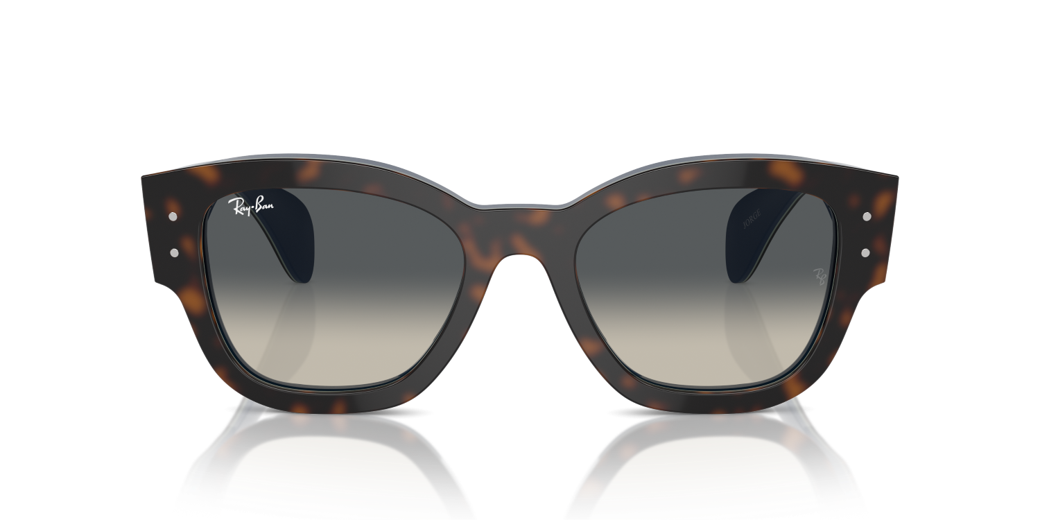 Ray-Ban JORGE RB7681S - Havana Grey On Blue / Blue