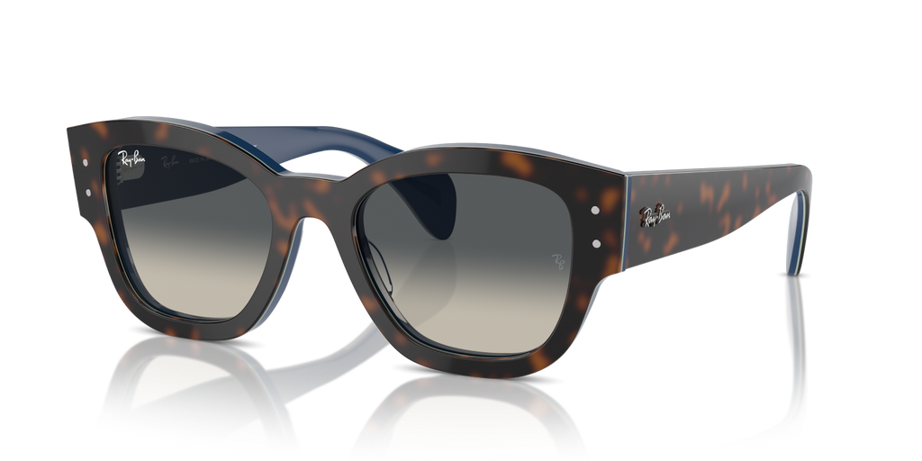 Ray-Ban JORGE RB7681S - Havana Grey On Blue / Blue