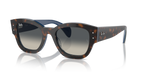 Ray-Ban JORGE RB7681S - Havana Grey On Blue / Blue