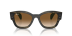 Ray-Ban JORGE RB7681S - Striped Green On Green / Green