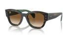 Ray-Ban JORGE RB7681S - Striped Green On Green / Green