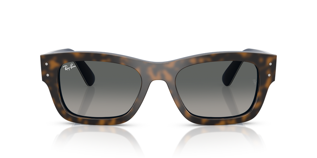 Ray-Ban JOSEPH RB7683S - Havana Grey On Gradient Blue / Grey