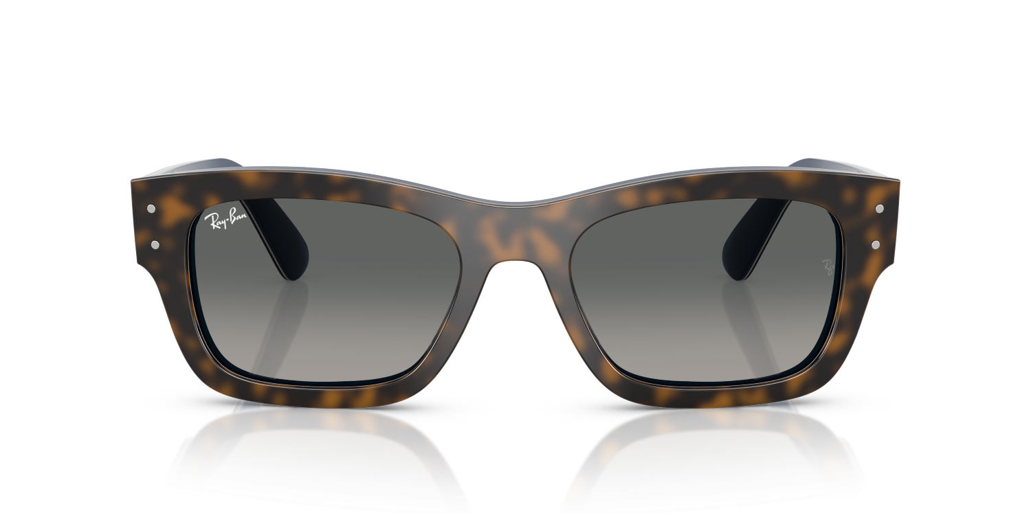 Ray-Ban JOSEPH RB7683S - Havana Grey On Gradient Blue / Grey
