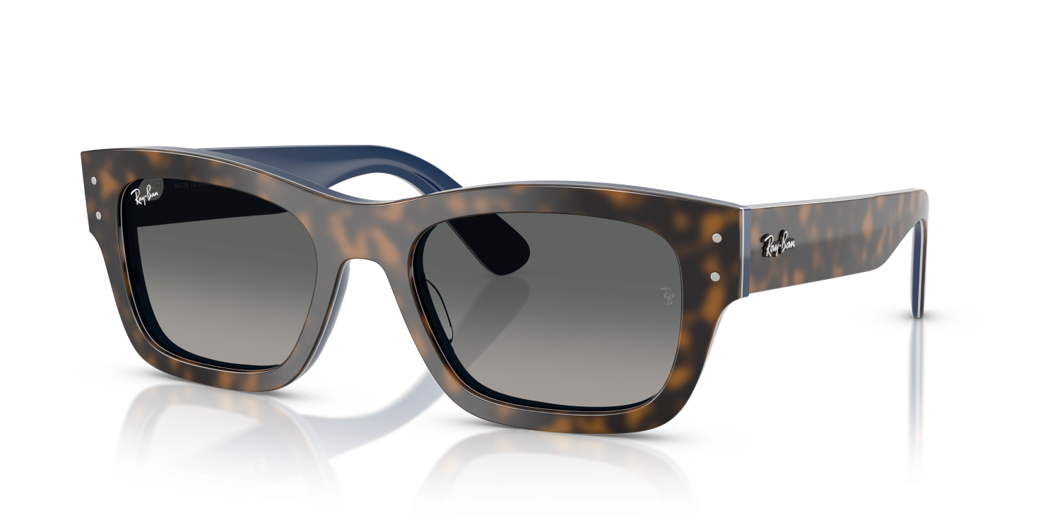 Ray-Ban JOSEPH RB7683S - Havana Grey On Gradient Blue / Grey