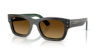 Ray-Ban JOSEPH RB7683S - Striped Green On Green / Green
