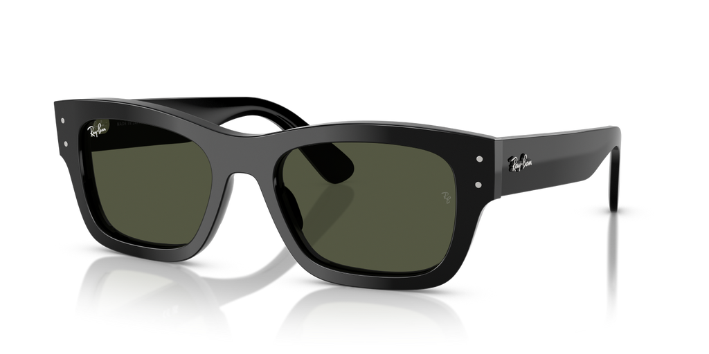 Ray-Ban JOSEPH RB7683S - Black / Black