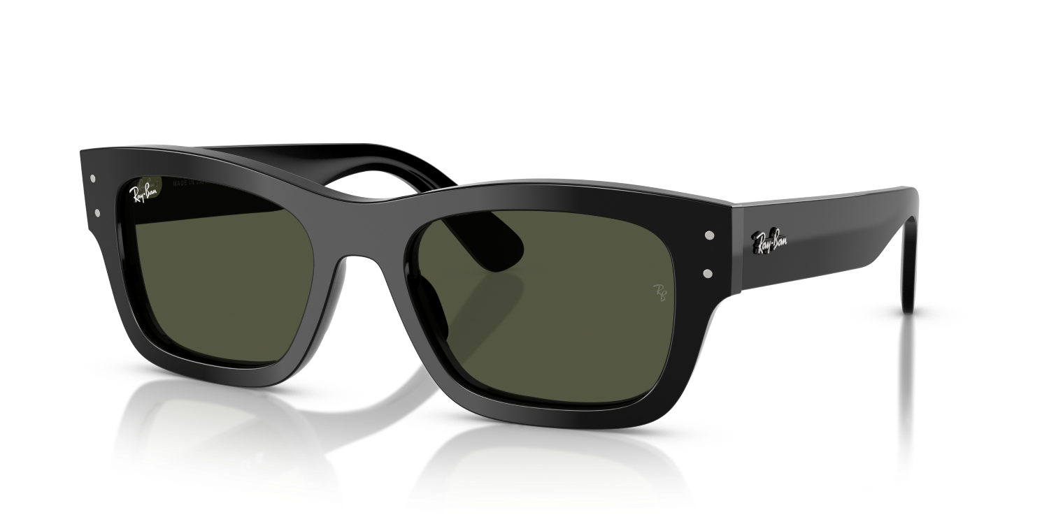 Ray-Ban JOSEPH RB7683S - Black / Black