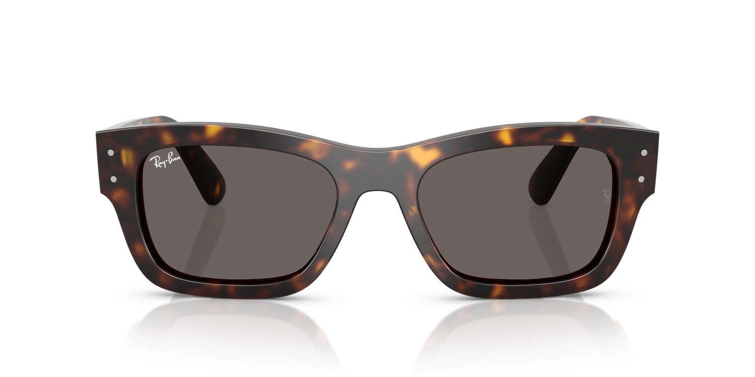 Ray-Ban JOSEPH RB7683S - Havana / Tortoise