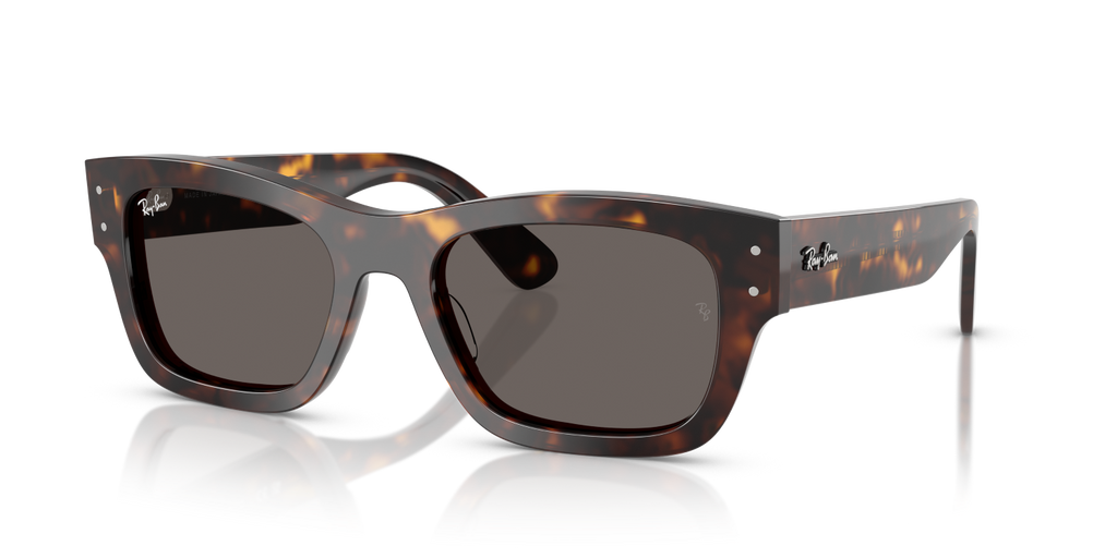 Ray-Ban JOSEPH RB7683S - Havana / Tortoise