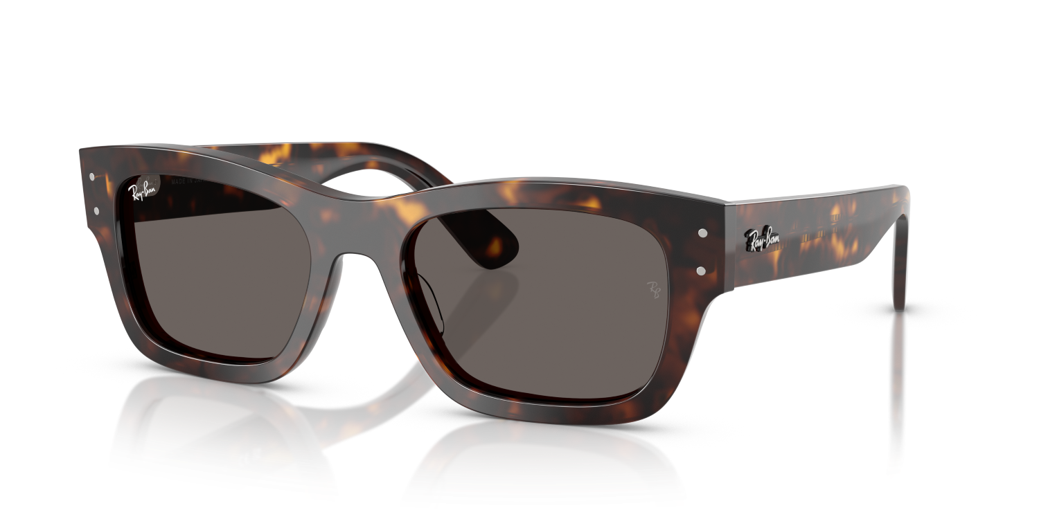 Ray-Ban JOSEPH RB7683S - Havana / Tortoise