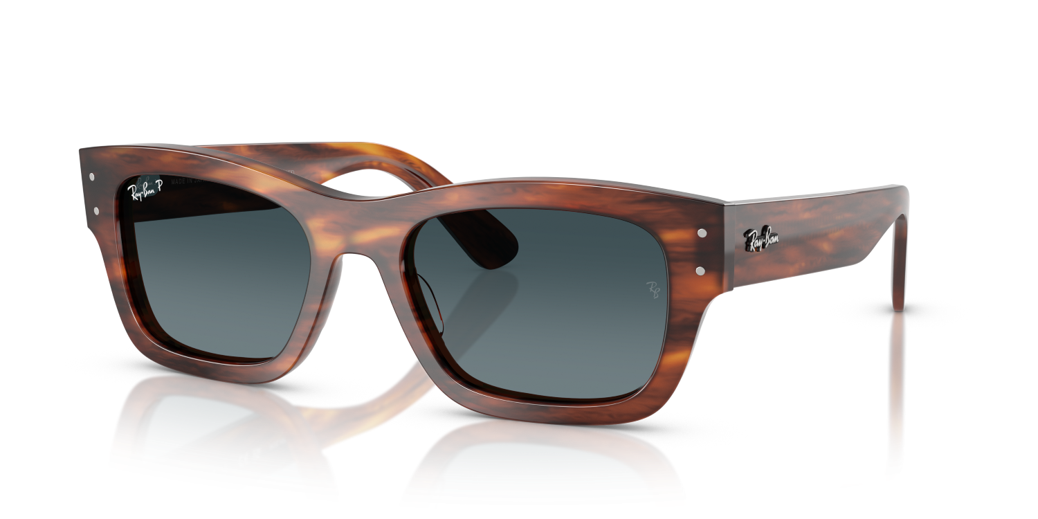 Ray-Ban JOSEPH RB7683S - Striped Havana / Brown