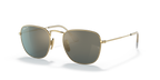 Ray-Ban FRANK RB8157 - Gold / Gold