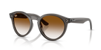 Ray-Ban RBR0505S - Transparent Dark Grey / Grey