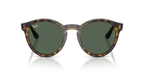 Ray-Ban RBR0505S - Havana / Tortoise
