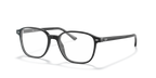 LEONARD RX5393