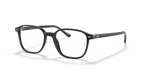 LEONARD RX5393