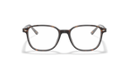 RX5407D