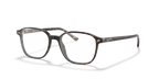 LEONARD RX5393