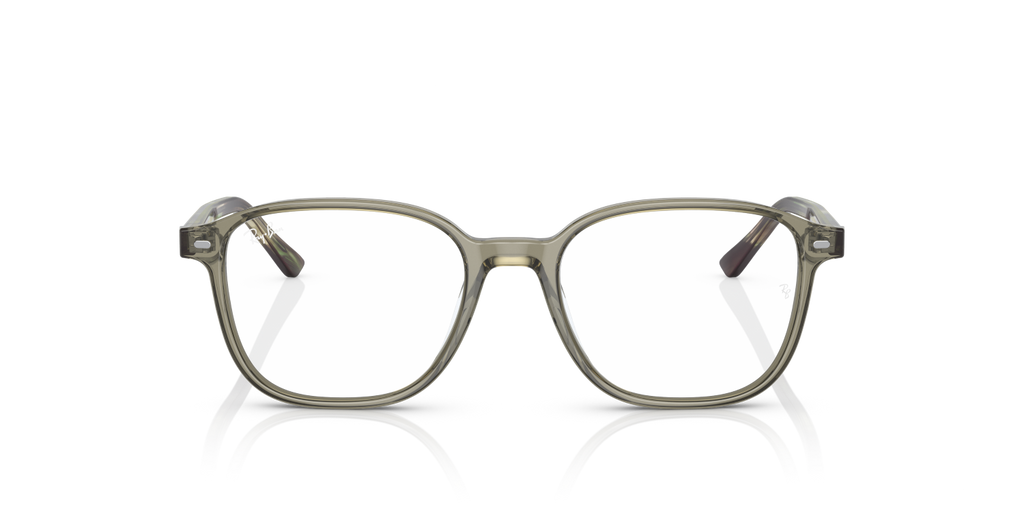 LEONARD RX5393