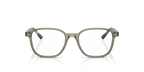 LEONARD RX5393