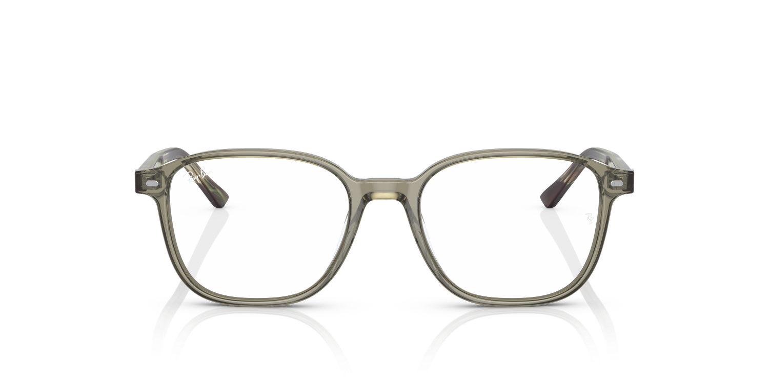 LEONARD RX5393
