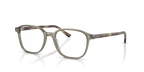 LEONARD RX5393