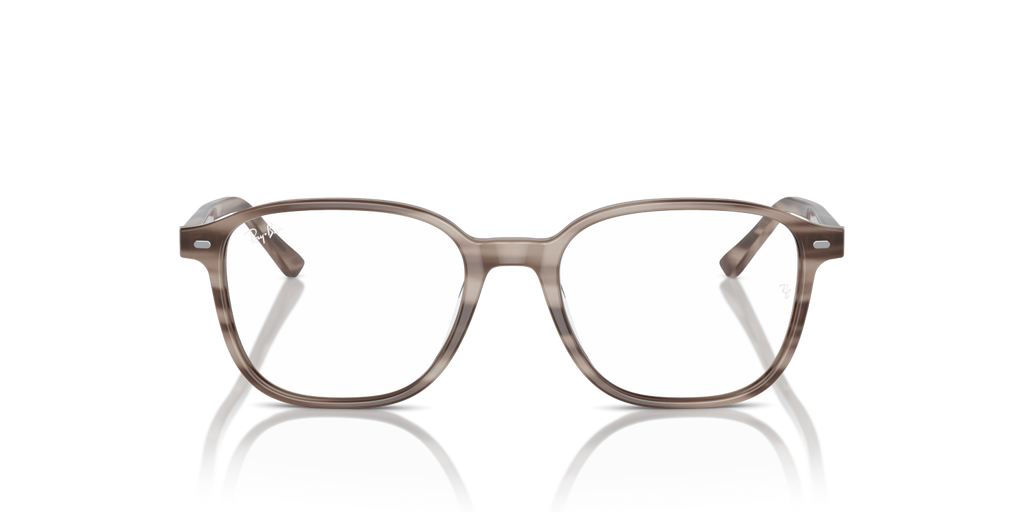 LEONARD RX5393