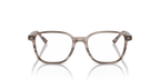 LEONARD RX5393