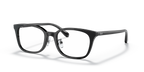 RX5407D