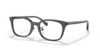 RX5407D