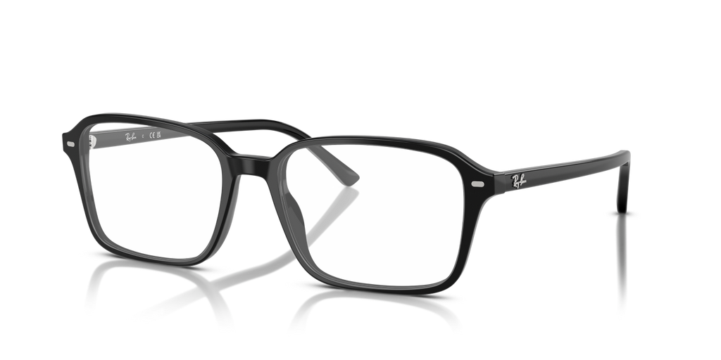 RAIMOND RX5431