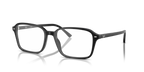 RAIMOND RX5431