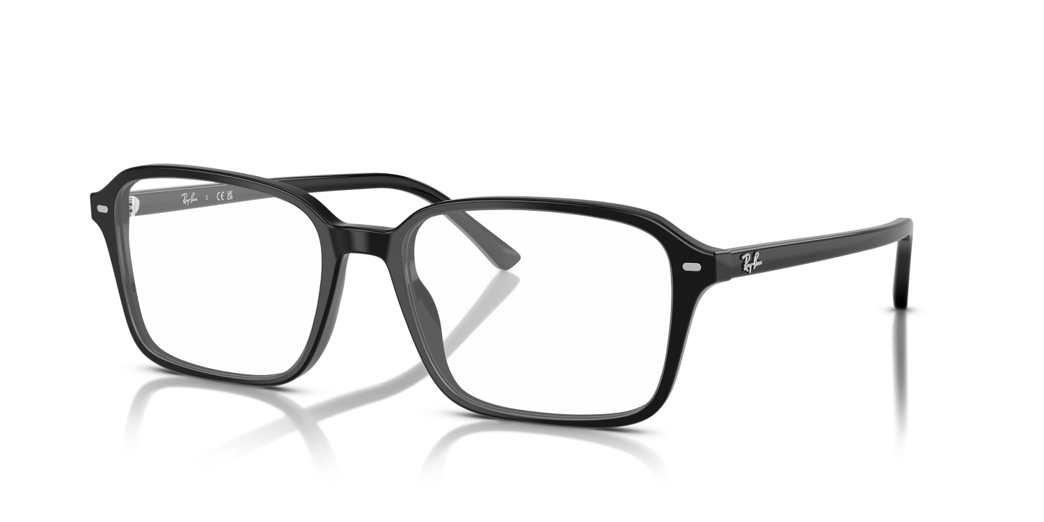 RAIMOND RX5431