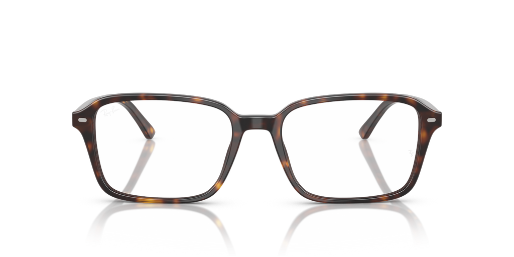RAIMOND RX5431